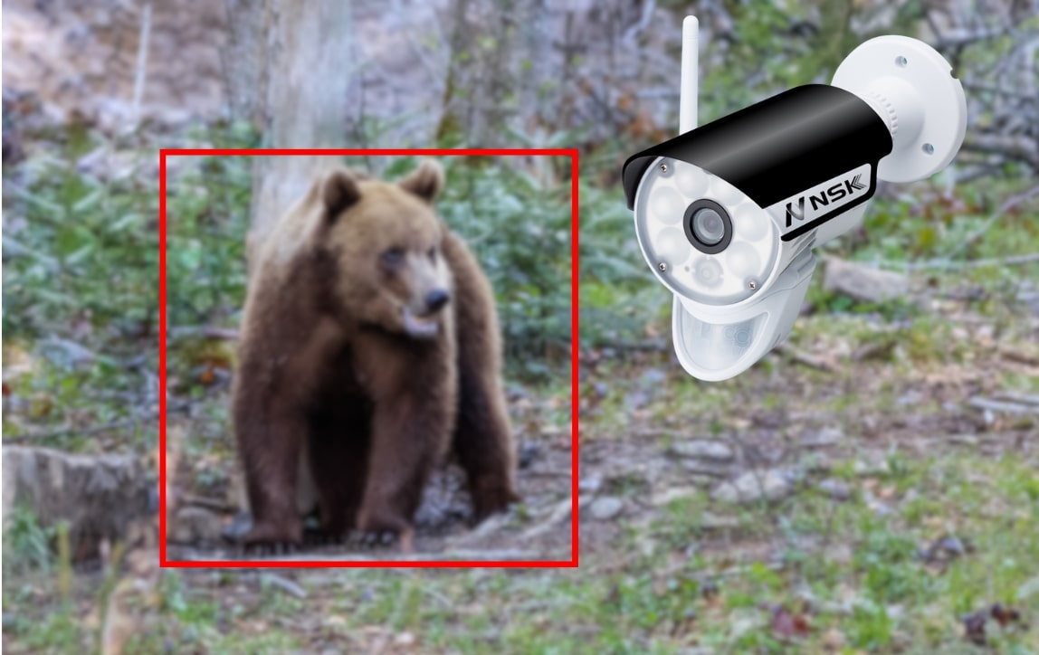クマ出没を検出するAIカメラのイメージ画像